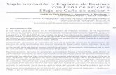 Suplementación y Engorde de Bovinos con Cana de azúcar y ...ainfo.cnptia.embrapa.br/digital/bitstream/item/117647/1/Binder1.pdf · Informaciones prácticas para obtención de buenos
