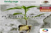 SECRETARÍA DE AGRICULTURA, GANADERÍA, DESARROLLO …zacatecas.inifap.gob.mx/publicaciones/prcChileInv.pdf · proporcionar a la planta las condiciones óptimas para su desarrollo,