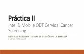 Clasificacion de imagenes en R - sci2s.ugr.es · Práctica II Intel & Mobile ODT Cervical Cancer Screening SISTEMAS INTELIGENTES PARA LA GESTIÓN DE LA EMPRESA CURSO 2016-2017
