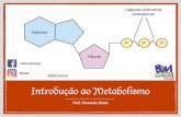 fbelan - Biologia Maisbiologiamais.com.br/download-305/ba03-introducao-ao-metabolismo.pdf · Fotossíntese 6CO2 + 6H2O —> C6H12O6 + 6O2 (antagônica à respiração). Produz a