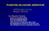 Blog Dr. Ricardo · Anatomia da parede abdominal Dr. Ricardo Ferreira Mestre em radiologia UFTP Prof. Adj. Radiologia FEPAR Prof. Adj. Anatomia FEPAR Diretor Centro do Diagnostico