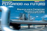 Riqueza para Campinas - WordPress.com...Petróleo e Gás Natural (Prominp) e os cursos relacionados ao setor ofe-recidos pelo Senai, especificamente na região de Campinas. A informação