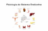 Fisiologia do do Sistemado Sistema Endócrino³crino-I1.pdf · Sistema hormonal Atua como um sistema de controle e regulação (juntamente com o sistema nervoso) “Os dois sistemas