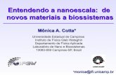 Entendendo a nanoescala: de novos materiais a biossistemasvigo.ime.unicamp.br/fm003/nano.pdf · Entendendo a nanoescala: de novos materiais a biossistemas Mônica A. Cotta* Universidade