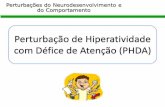 Perturbação de Hiperatividade com Défice de Atenção (PHDA) · Caracterização Avaliação Intervenção Prognóstico Conclusão Referências Bibliográficas Critérios de Diagnóstico