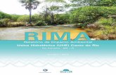Relatório de Impacto Ambientallicenciamento.ibama.gov.br/Hidreletricas/Canto do Rio MA...1. Apresentação O presente Relatório de Impacto Ambiental (RIMA) é um documento que compõe