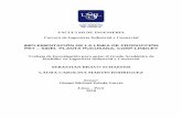 Implementación de la línea de producción PET - SIDEL ...repositorio.usil.edu.pe/bitstream/USIL/3857/1/2018_Bravo-Schaefer.pdf · IMPLEMENTACIÓN DE LA LÍNEA DE PRODUCCIÓN ...