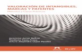 Valoración de intangibles, marcas y patentes · 2018-06-05 · activos intangibles, el libro de Jerónimo Aznar, Teodosio Cayo y Arturo López es una aportación a tener en cuenta