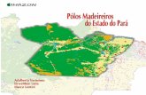 Polos 1 - Imazon...APRESENTA˙ˆO O estudo sobre a caracterizaçªo dos ﬁPólos Madeireirosﬂ Ø uma resposta à escassez de estatísticas sobre a atividade madeireira na Amazônia.