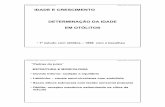 Universidade do Algarve - Mestrado em Biologia Marinha ...w3.ualg.pt/~madias/docencia/documentos/BP0708_SlidesIdade_Otolitos.pdf · 2 Modificado de Panfili et al., 2002 Canal vertical