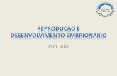 REPRODUÇÃOE DESENVOLVIMENTO EMBRIONÁRIOcolegionc.net.br/site/sites/default/files/anexos/reproducao_e_desenvolvimento... · Característica exclusiva dos seres vivos. Fundamental