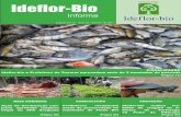 Ideflor-Bio · A atividade contou com a parceria da Se - cretaria Municipal de Meio Ambiente e Turismo (Semat), do município de Sena- ... das ações constantes em campo, situ-ações
