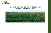 Manejo do Milho Tiguera RR site - APPSapps.agr.br/wp-content/uploads/2018/04/Manejo-do-Milho-Tiguera-RR_site.pdf · O que vai fazer diferença nesse contexto é o preparo do agricultor,