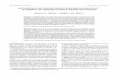 DEFORMAÇÃO DE ROCHAS GRANITÓIDES EM REGIME DÚCTIL: O ...bjg.siteoficial.ws/1994/n.3/1.pdf · de contração, representadas por dobras da foliação e dobras ptigmáticas, e por