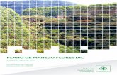 PLANO DE MANEJO FLORESTAL · e arrendadas), sendo 129.074,05 hectares de plan-tações de eucalipto, 129.074,05 hectares de vege-tação nativa e 18.862,04 hectares são destinados