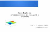 Introdução ao processamento de imagens e OCTAVEsmusse/CG/PDFs2014_1/PI.pdf · Introdução ao processamento de imagens e OCTAVE Julio C. S. Jacques Junior juliojj@gmail.com