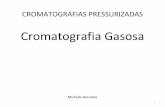 Cromatografia Gasosa - UFSC...Cromatografia Gasosa (CG) 3 Fase Móvel Líquida Gasosa Cromatografia Líquida Modalidades e Classificação Cromatografia Gás-Sólido (CGS) Cromatografia