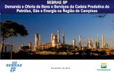 SEBRAE-SP - Petróleo e Gás em Campinas e Região ... Sebrae/UFs... · 1 1 SEBRAE SP Demanda e Oferta de Bens e Serviços da Cadeia Produtiva do Petróleo, Gás e Energia na Região