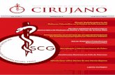 REVISTA CIRUJANO 2018 - SCGP8 CIRANO Vol 15 N 1 Revista de la Sociedad de Cirujanos Generales del Perú Manejo Multidisciplinario del Abdomen Catastrófico en la Unidad de Falla Intestinal