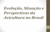 Evolução, situação e perspectivas da Avicultura no Brasil · • Altas de 90% nos preços do farelo de soja, de 58% na soja em grão e de 44% no milho, em plena safra. • 5.750
