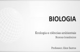 Biomas brasileiros Professor: Alex Santos · II –Fatores físicos que influenciam na formação dos biomas III –Tipos de biomas brasileiros IV –Hotspots Biomas brasileiros.