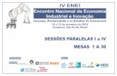 IV ENEI Encontro Nacional de Economia Industrial e Inovação · 2019-09-03 · Eva Yamila Da Silva Catela Paulo César Morceiro Eva Yamila Da Silva Catela (PPGEco/UFSC) Mesa 15 –