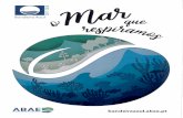 bandeiraazul.abae.ptBandeira Azul Nota de Imprensa Anúncio das Praias, Marinas e Embarcações com Bandeira Azul 2018 Em 2018 0 Programa Bandeira Azul vai trabalho o tema O Mar que