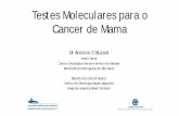 Testes Moleculares para o Cancer de Mama · 18 e 31 no Ca mama RH+, HER2-negativo no banco de dados do SEER. Miller D, et al. J Clin Oncol 35:abstr 537, 2017. 5-year BCSS by RS Group