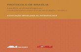 Protocolo de Brasília...Antropologia do Museu Nacional dois projetos com repercussões para a forma como os(as) antropólogos(as) passaram a encarar no Brasil tanto o reconhecimento