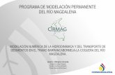 PROGRAMA DE MODELACIÓN PERMANENTE DEL RÍO MAGDALENAcapacitacion.sirh.ideam.gov.co/encuentro/Ponencias/PDF... · 2014-11-19 · modelaciÓn numÉrica de la hidrodinÁmica y del transporte
