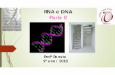 RNA e DNA Parte II - Santa Cecília · RNA transportador (RNAt): * O RNAt no citoplasma une-se aos aminoácidos transportando-os até o RNAm para a síntese de proteínas, a ser realizada
