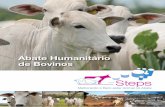 Abate Humanitário de Bovinos...Programa Nacional de Abate Humanitário – Steps 3 APRESENTAÇÃO A WSPA – Sociedade Mundial de Proteção Animal (World Society for the Protection