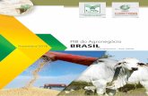 PIB do Agronegócio Novembro/2016 BRASIL - USP · 2017-03-16 · PIB do Agronegócio Brasil NOVEMBRO/2016 CENTRO DE ESTUDOS AVANÇADOS EM ECONOMIA APLICADA - ESALQ/USP COM QUEDA NO