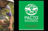 A MATA ATLÂNTICA · A MISSÃO do PACTO Recupera ção do bioma Mata Atlântica , aliando conserva ção da biodiversidade , gera ção de trabalho e renda , pagamento por servi ços