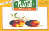 Embrapa - (Colecao Plantar - VIRTUAL) - Pessego · PDF file qualidade dos frutos. Em áreas de maior altitude, onde os verões são mais frescos, muitas cultivares podem apresentar