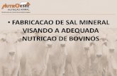 FABRICACAO DE SAL MINERAL VISANDO A ADEQUADA NUTRICAO DE … · rebanho bovino abate . qualidade de carne ... rendimento de carcaca boi confinado sem volumoso (%) 55 capacidade de