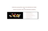 VISUALIZAÇÃO DE FICHEIROS PDB E GRAVAÇÃO DE FICHEIROS …tavares/ensino/VISCI/Trabalhos/2003-2004... · A leitura do ficheiro pdb, representação gráfica da molécula que permite