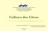 Cultura dos Citrosfrutvasf.univasf.edu.br/images/aulacitros.pdf · A tangerineira Cleópatra chegou a ocupar 24% das mudas produzidas, enquanto Cravo caiu de 99% para 77%. Começaram