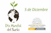 5 de Diciembre - MGAP · Elaboración de la Nueva Cartografía Semidetallada de Suelos del Uruguay •Información de suelos que respaldan las UM: •Informes de suelos •Calicatas,