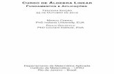 Curso de Álgebra Linear - Federal University of Rio de ...mcabral/livros/livro-alglin/alglin-material/... · Curso de Álgebra Linear Fundamentos e Aplicaçıes Terceira Ediçªo
