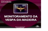MONITORAMENTO DA VESPA-DA-MADEIRA embrapa/sirex monitoramento.pdf ·  sac@cnpf.embrapa.br MONITORAMENTO DA VESPA-DA-MADEIRA