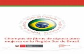 mujeres en la Región Sur de Brasil · 2019-08-02 · 2 Chompas de fibras de alpaca para mujeres en la Región Sur de Brasil ÍNDICE BRASIL 3 “Este perfil de producto ha sido realizado