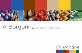 A Borgonha - tourisme-bourgogne.pro · de 34 anos, de Munique, sonhava conhecer essa jóia da arte romana, seus capitéis, seus tímpanos, suas bóbodas inigualáveis. Aproveitando