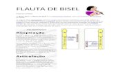 Web view FLAUTA DE BISEL. Palavras curiosas: A flauta doce ou flauta de bisel £© um instrumento musical,