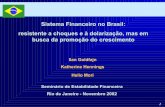 Sistema Financeiro no Brasil: resistente a choques e à ... · 1 Sistema Financeiro no Brasil: resistente a choques e . à. dolarização, mas em busca da promoção do crescimento.