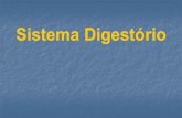 Sistema Digestório...Sistema Digestório : Tem como função retirar dos alimentos ingeridos os nutrientes necessários para o desenvolvimento e a manutenção do organismo , isto