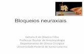 Bloqueios neuraxiais - · PDF file Bloqueios neuraxiais Getulio(Rde(Oliveira Filho(Professor Doutorde( Anestesiologia(Departamentode( Clínica(Cirúrgica(Universidade(Federal(de(Santa