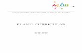 PLANO CURRICULAR - Agrupamento de Escolas de Oliveira do ... · Articulação entre o Currículo, os objetivos do Projeto Educativo do Agrupamento e os Planos de Turma, adaptando-os,