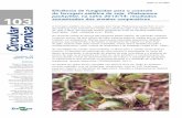 Eficiência de fungicidas para o controle da ferrugem ...ainfo.cnptia.embrapa.br/digital/bitstream/item/107820/1/CT103-online.pdf26. Círculo Verde Assessoria Agronômica e Pesquisa
