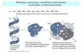 Estrutura covalente de proteínas Proteina: estrutura ...midia.cmais.com.br/assets/file/original/6cf33d9bd826a03bdd59328b338a... · * usando radiodatação de fósseis Unidade de